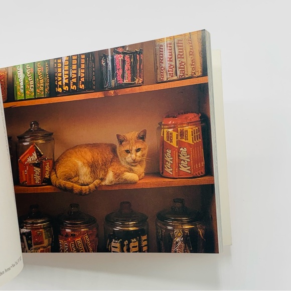 Cats at Work Postcard Book (1991, Abbeville Press) – 30 Vintage Postcards - Picture 5 of 10